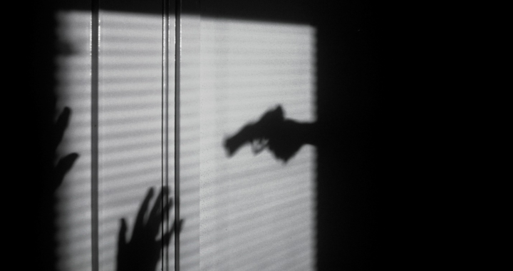 shadow of a gun