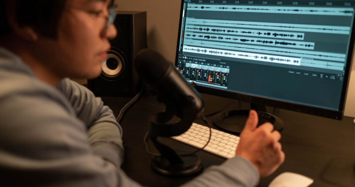 an expert going through audio for its authentication